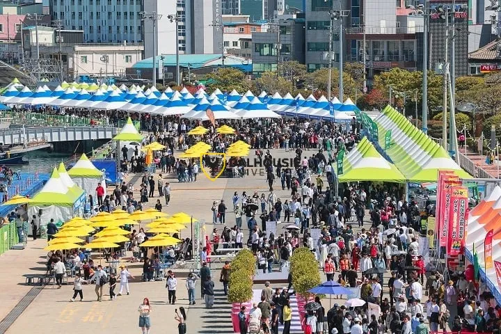 ▲방문객들로 붐빈 축제장ⓒ완도군
