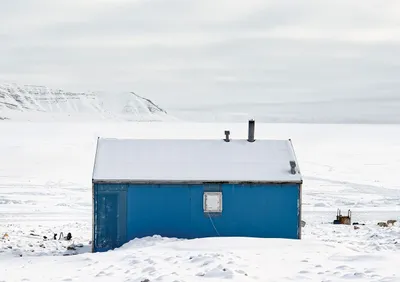 30년 동안 북극의 일상을 기록한 사진가