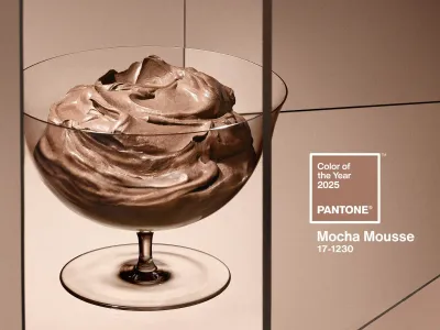팬톤 선정 2025년 대표색, 모카 무스